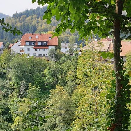 Ferienwohnung Auf Dem Bueckle Kleines Wiesental Exterior foto