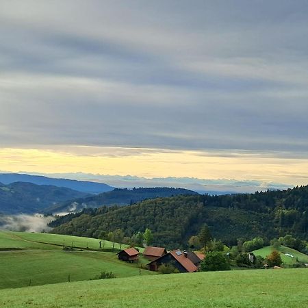 Ferienwohnung Auf Dem Bueckle Kleines Wiesental Exterior foto