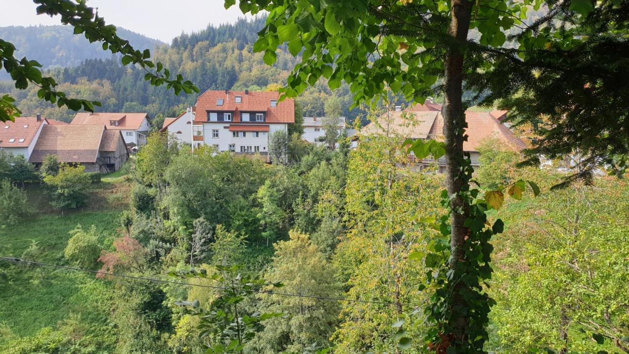 Ferienwohnung Auf Dem Bueckle Kleines Wiesental Exterior foto