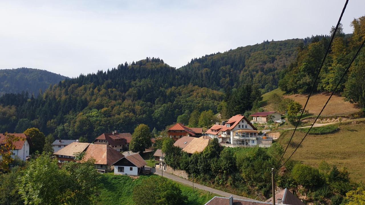 Ferienwohnung Auf Dem Bueckle Kleines Wiesental Exterior foto