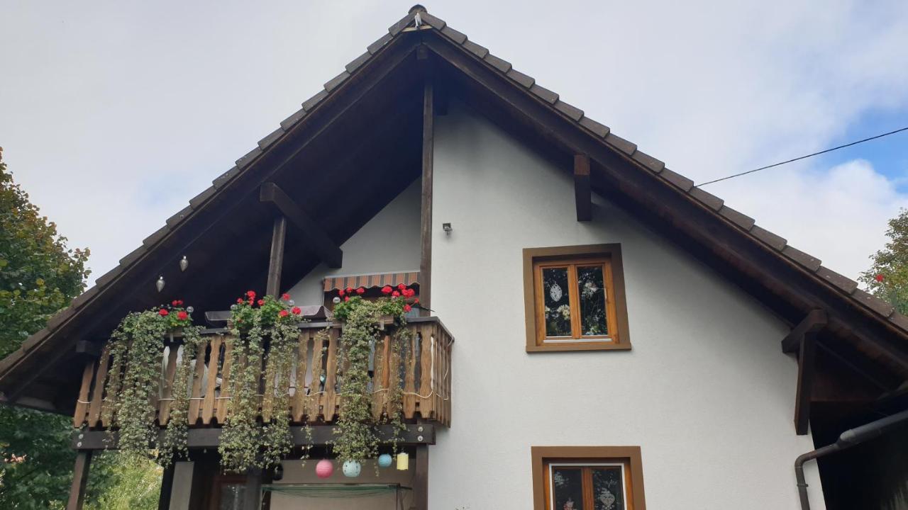 Ferienwohnung Auf Dem Bueckle Kleines Wiesental Exterior foto